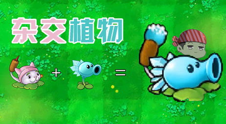 植物大战僵尸杂交版