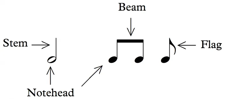 Open Music Theory 图示标出符头、符干、符杠和符尾